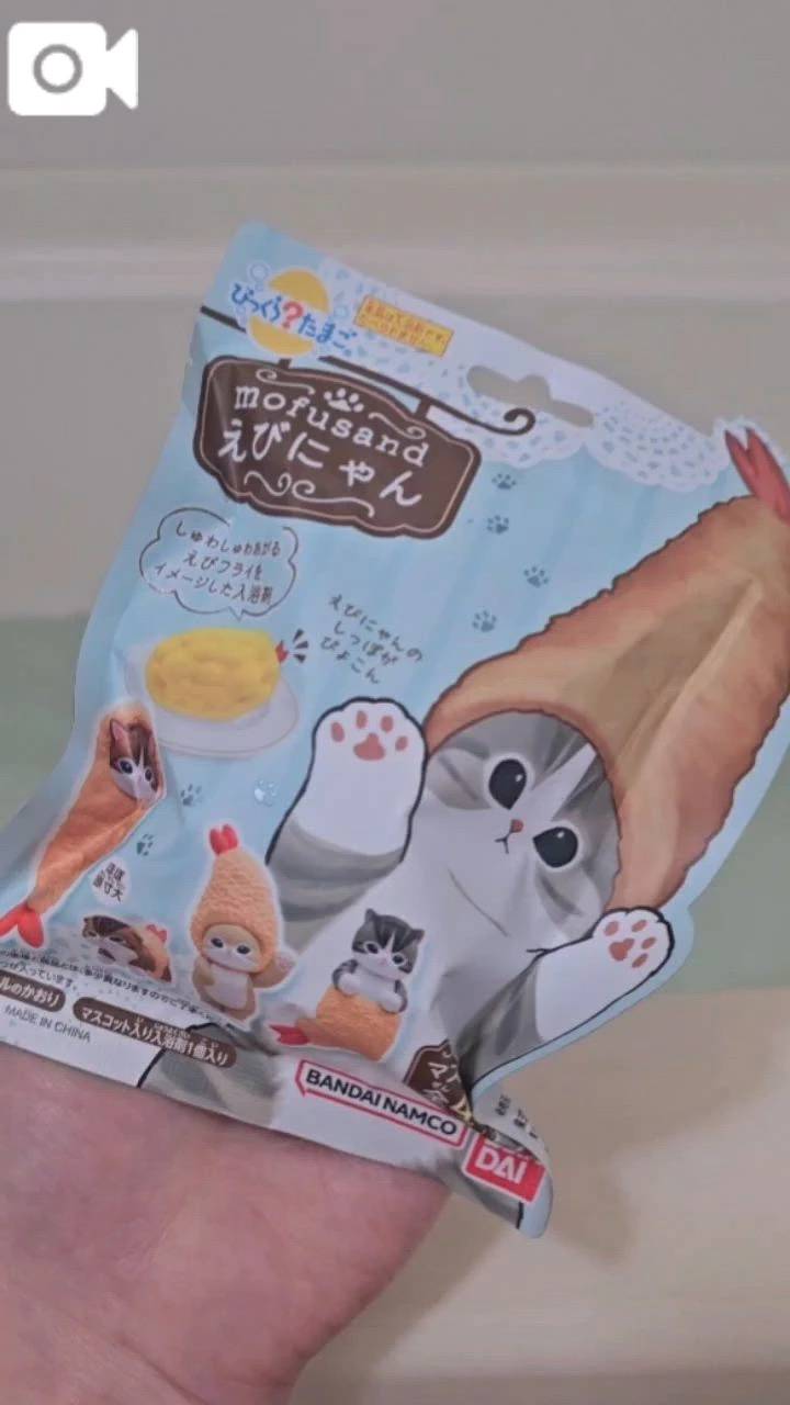 目があってしまった(ФωФ)