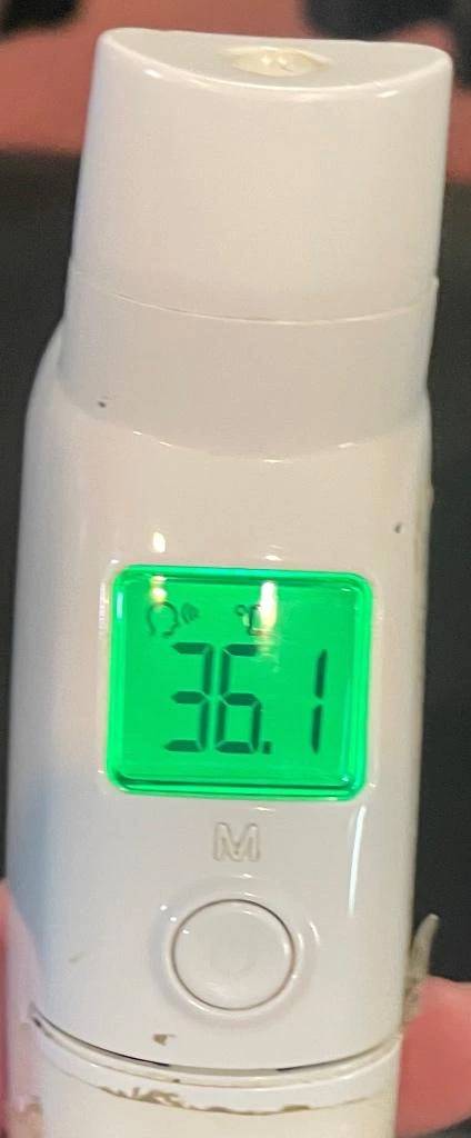 今日の体温...｡