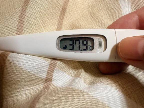 申し訳ございません。