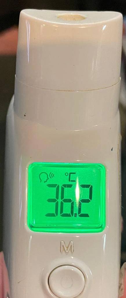 今日の体温...｡