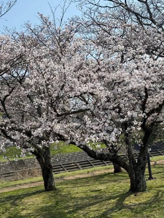 ゆず【素敵スタイルのお姉さま】