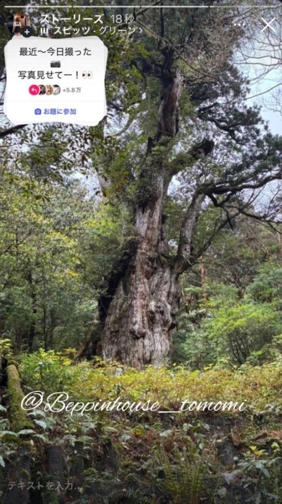 人から言われて一番うれしかった言葉はなんですか??