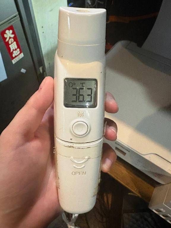 今日は四つ葉の日!!