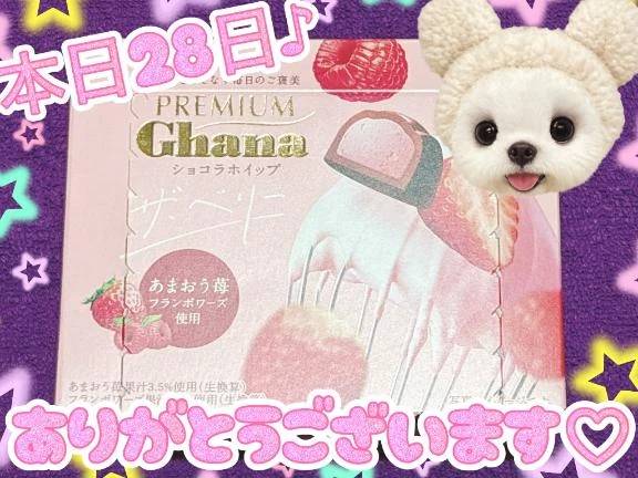 本日28日御礼♪