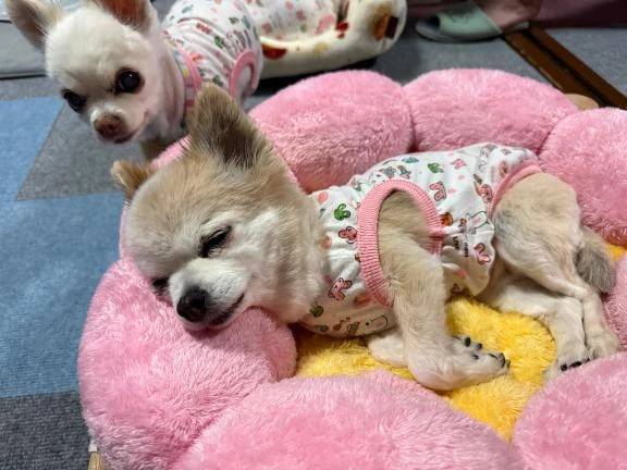 転職するかぁ〜w