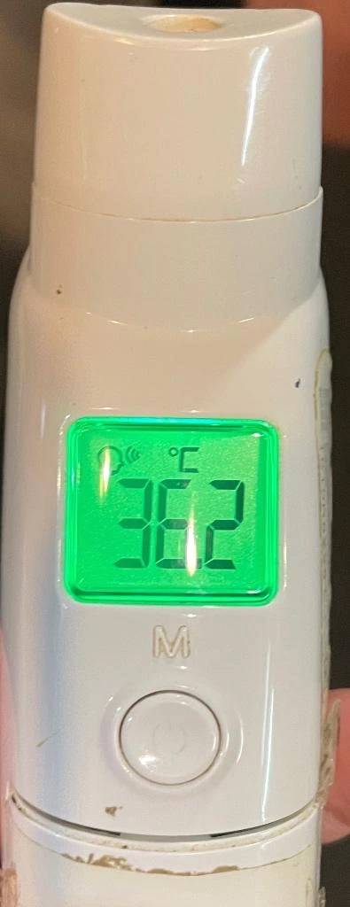 今日の体温...｡