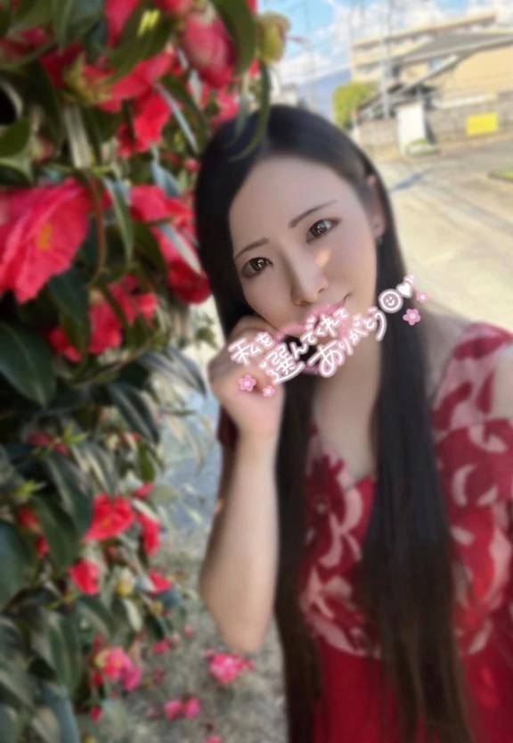 お礼✉🕊‪‪𓂃 𓈒𓏸◌‬