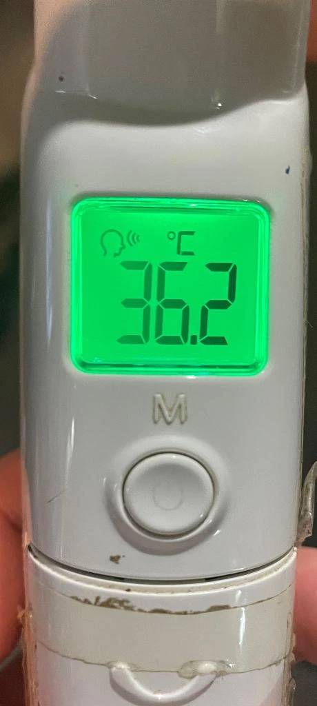 今日の体温...｡