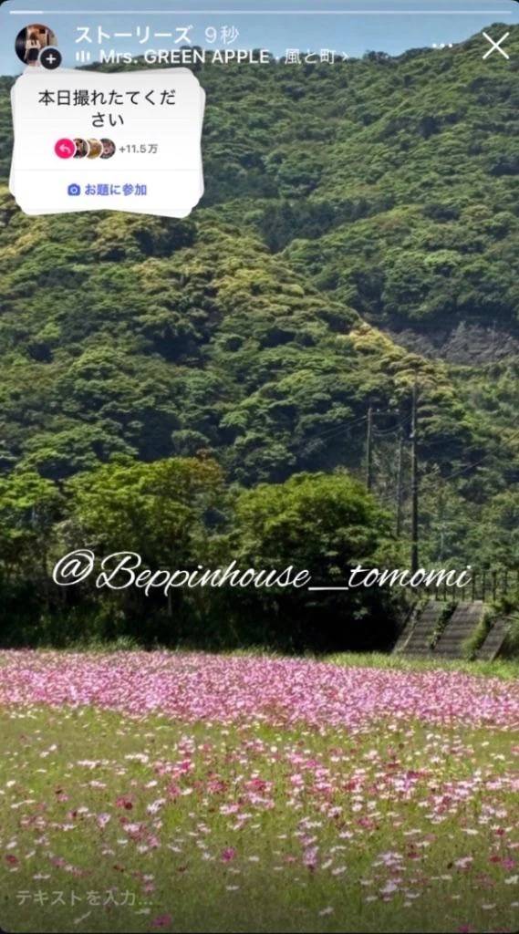 婚活の日！！ 理想の男性相手は？？