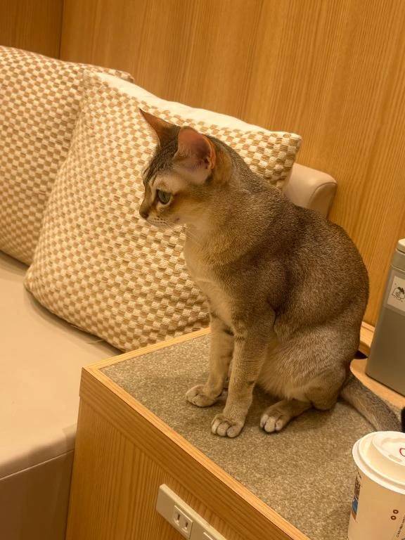掃除の日！！