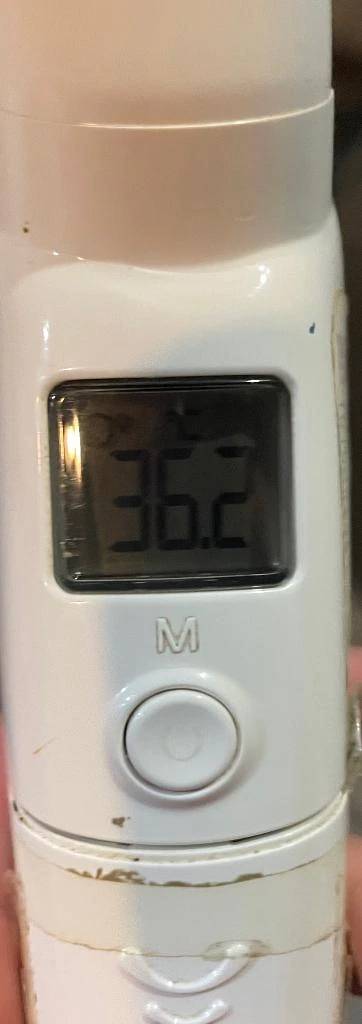 今日の体温...｡