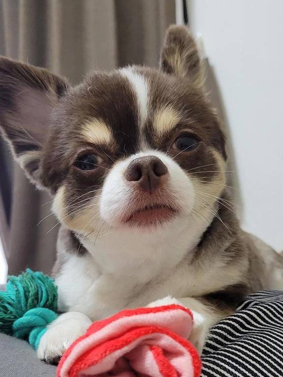 ☆今日のお題②☆