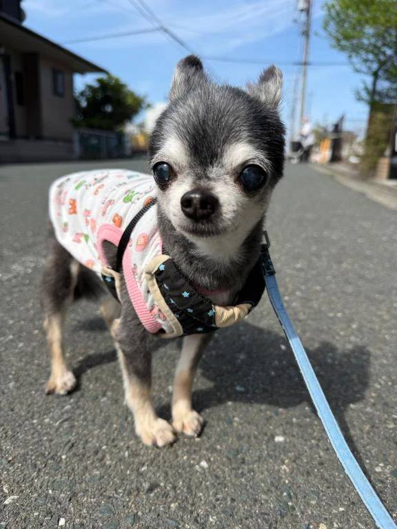 撮影に使ってた📸