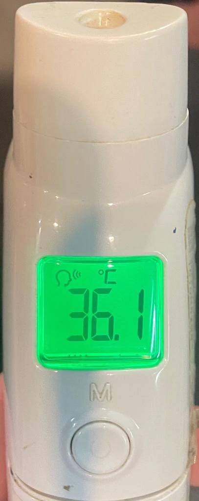 今日の体温...｡