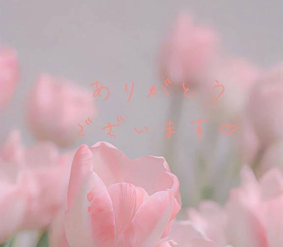 【お礼写メ日記】