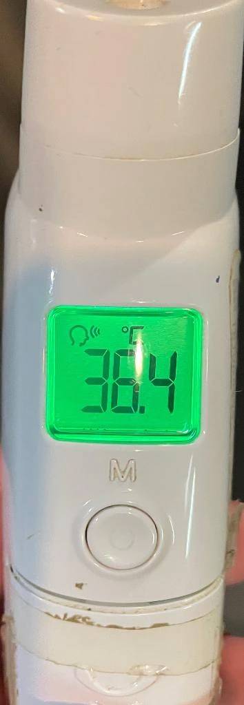 今日の体温...｡
