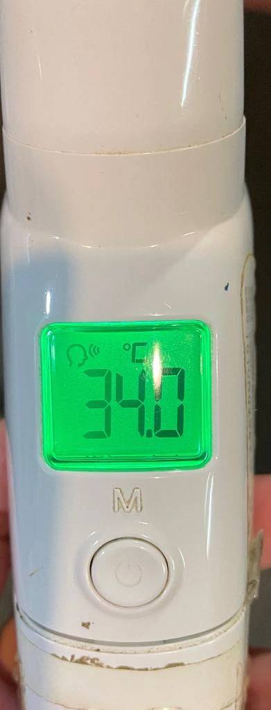 今日の体温...｡