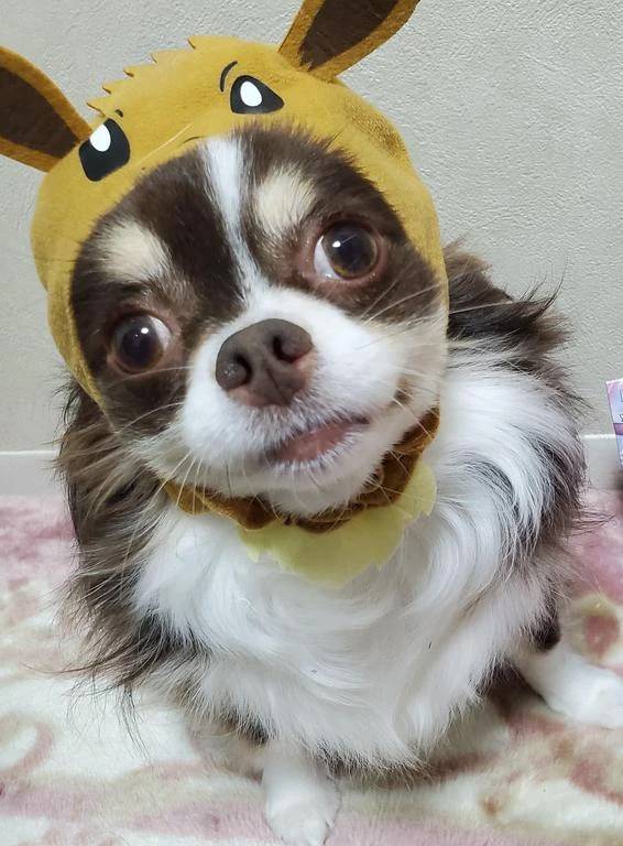 ☆もうすぐ☆