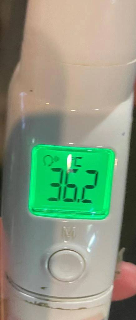 今日の体温...｡