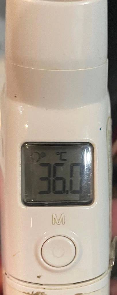 今日の体温...｡