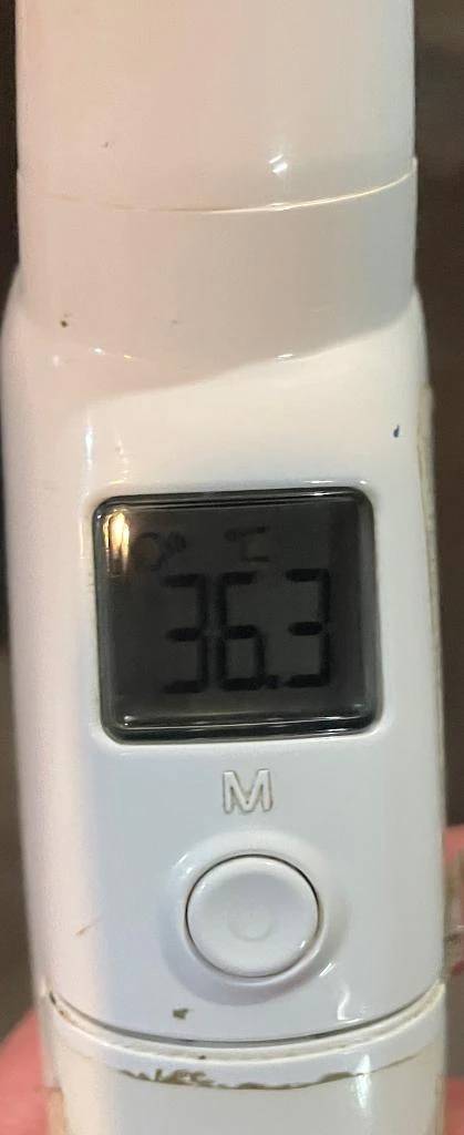 今日の体温...｡
