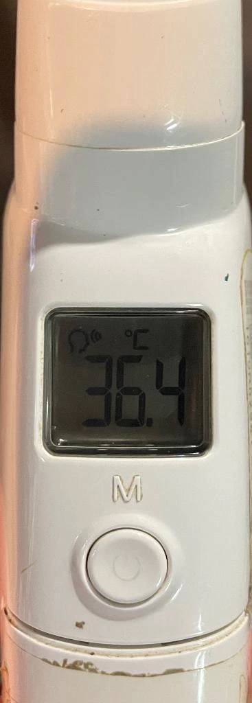 今日の体温...｡