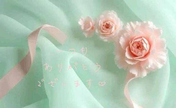 【お礼写メ日記】