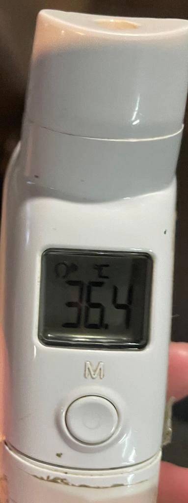 今日の体温...。
