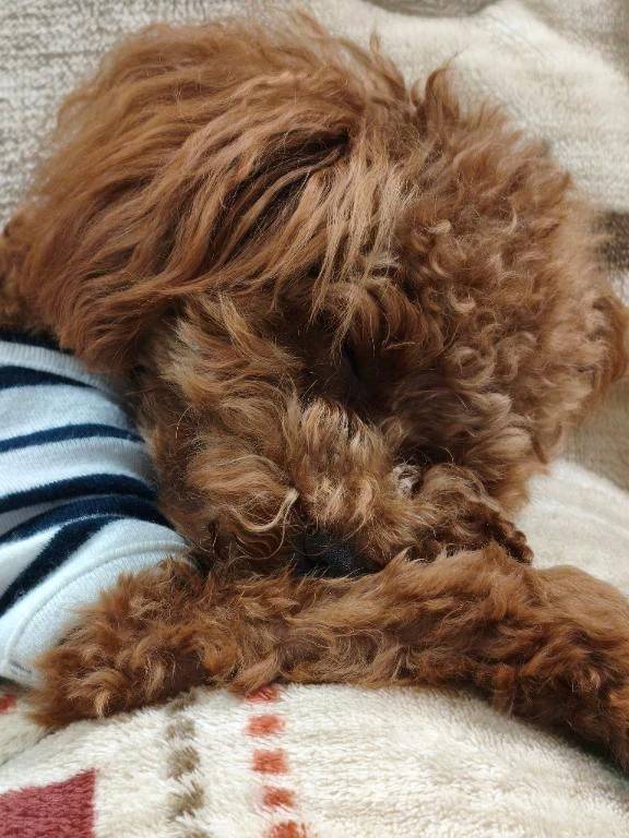 今日も残すところ後少し