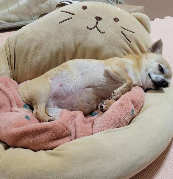 ☆今日のお題①☆