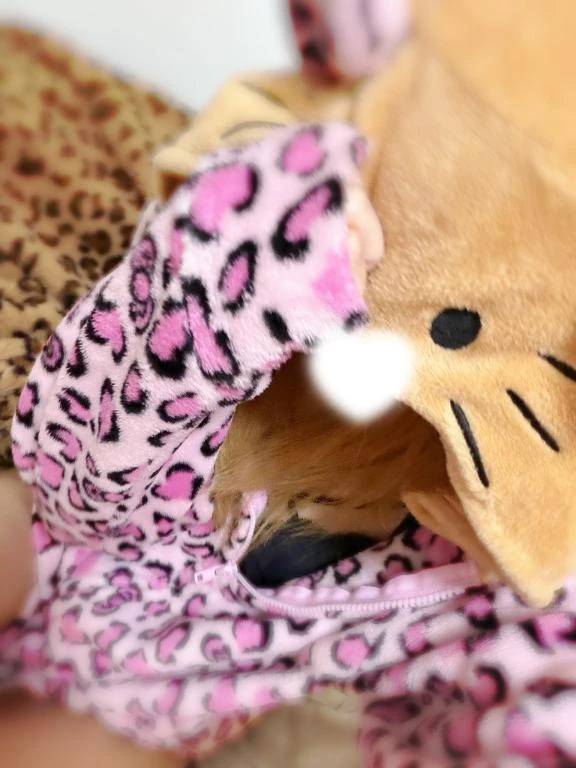 ましゅ