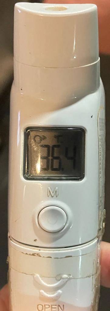 今日の体温...｡