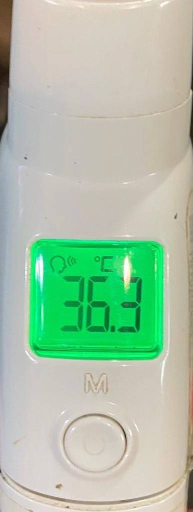 今日の体温...｡