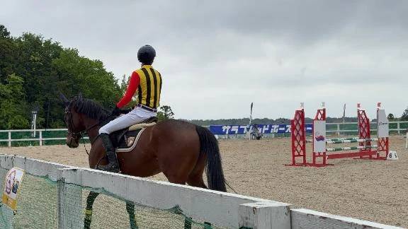 あんちゃんは競馬がだいすき