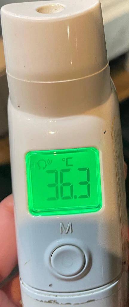 今日の体温...｡