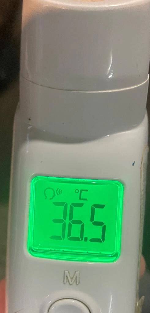 今日の体温...｡