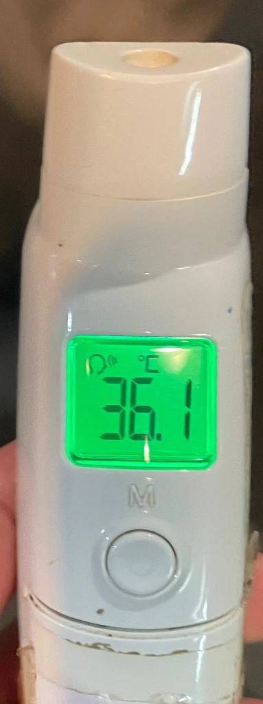 今日の体温...｡