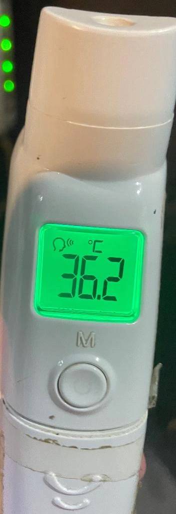 今日の体温...｡