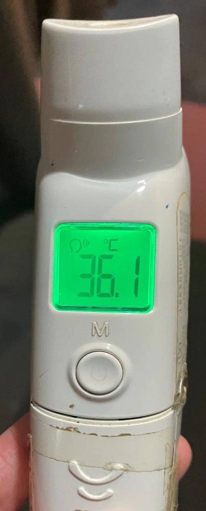 今日の体温...｡