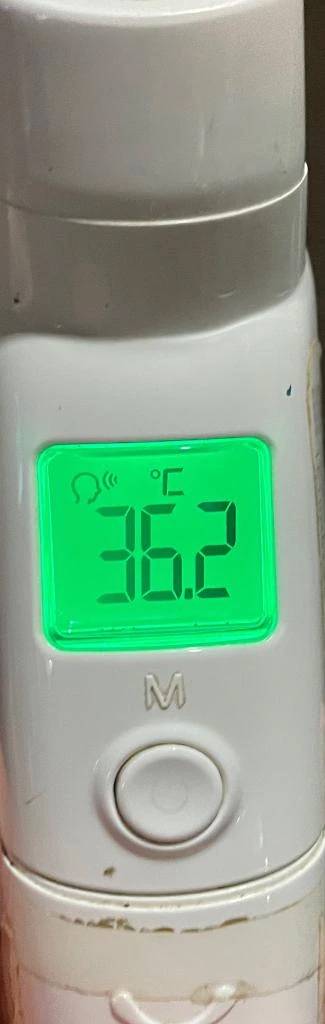 今日の体温...｡