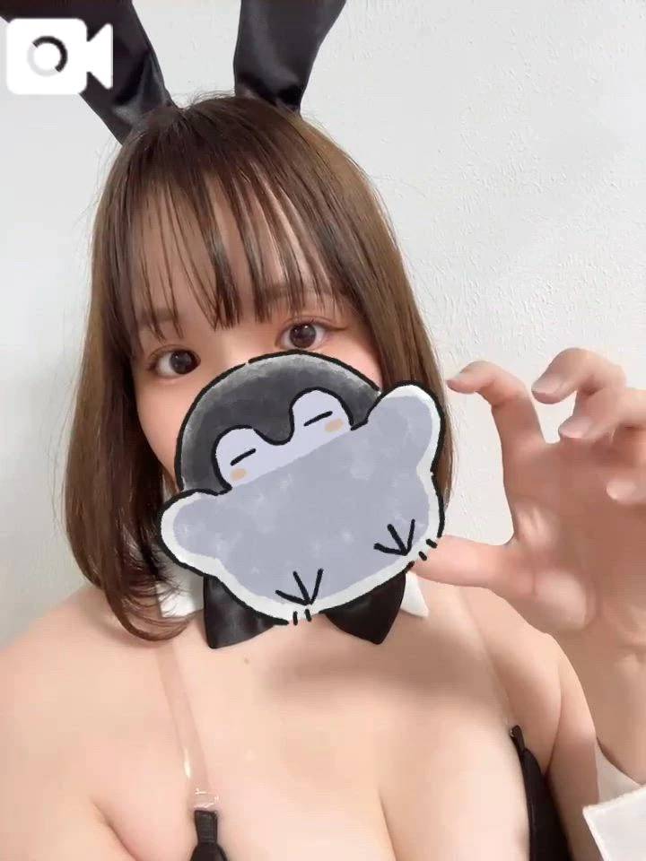 🎈メイショウタバル🎈