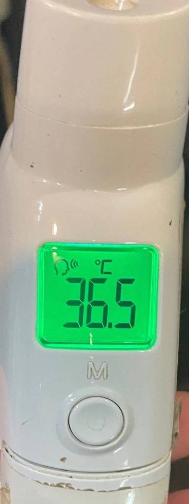 今日の体温...｡