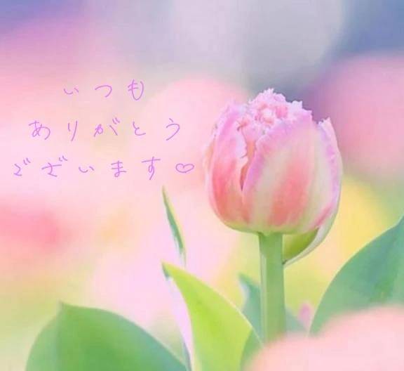 【お礼写メ日記】