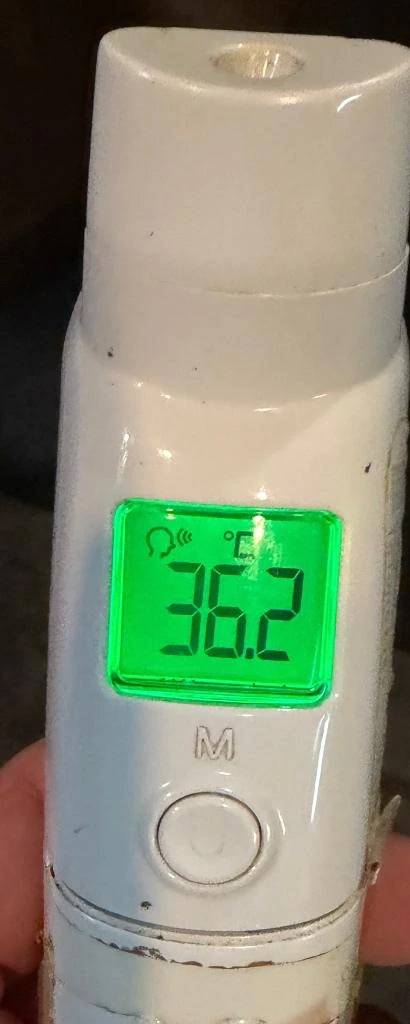 今日の体温...｡
