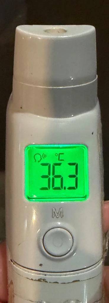 今日の体温...｡