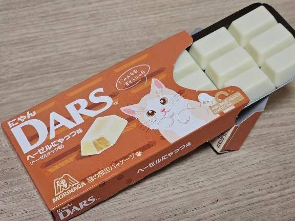 ねこブーム♪(=^ェ^=)