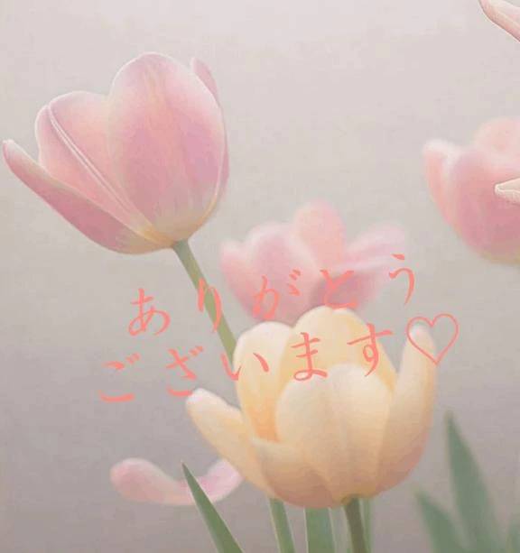 【お礼写メ日記】
