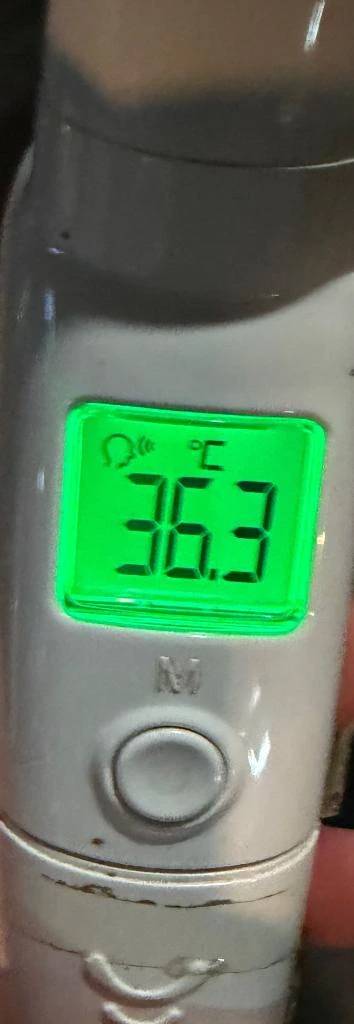 今日の体温...。