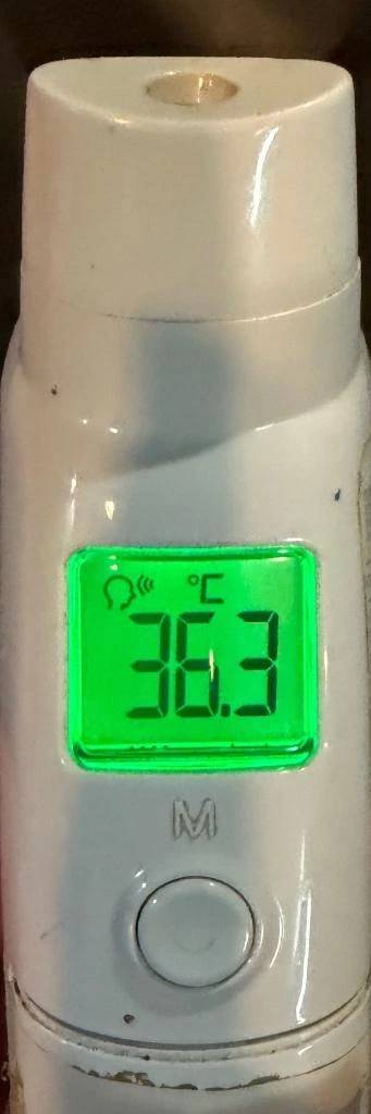今日の体温...｡