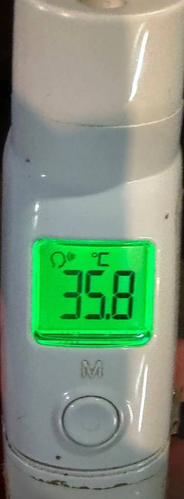 今日の体温...｡